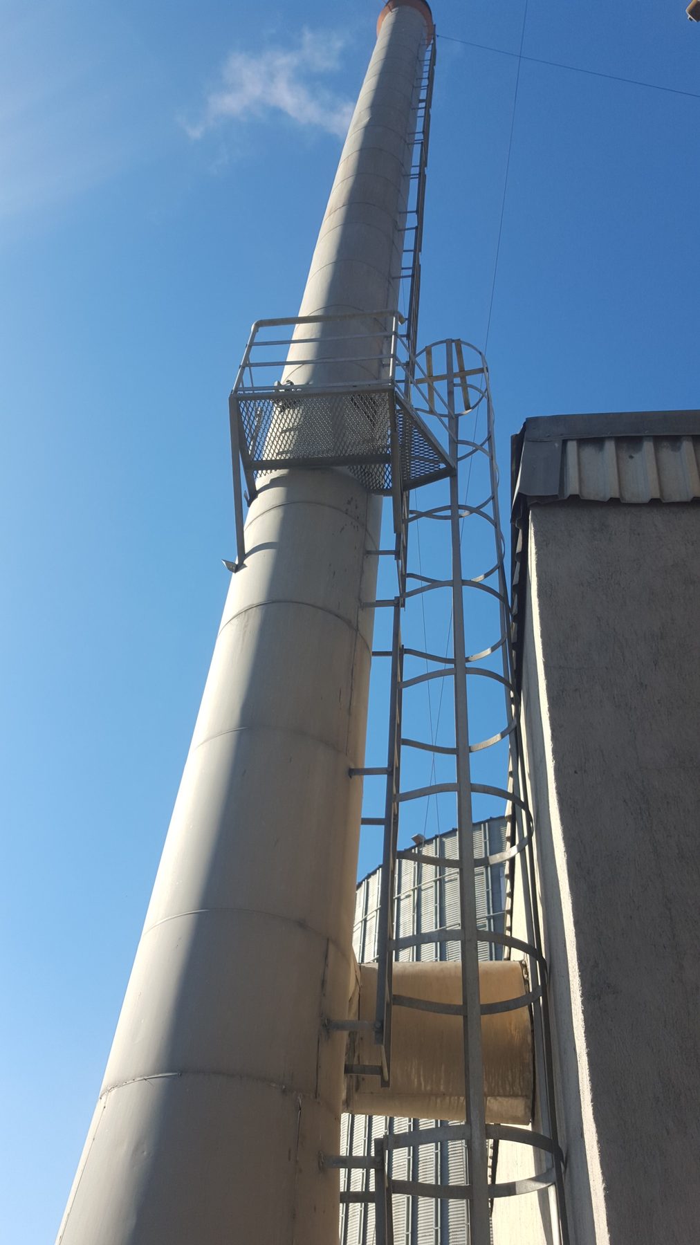 Bunge Gıda